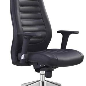 כסא מנהל תמר