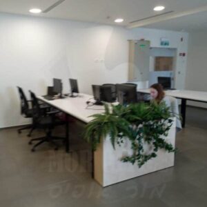 פרוייקט שולחנות עבודה 12 איש