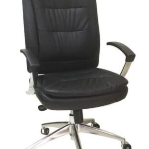 כסא מנהל דני